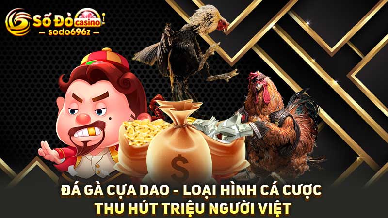 Đá gà cựa dao – Cá cược hấp dẫn với hàng triệu người Việt tham gia.