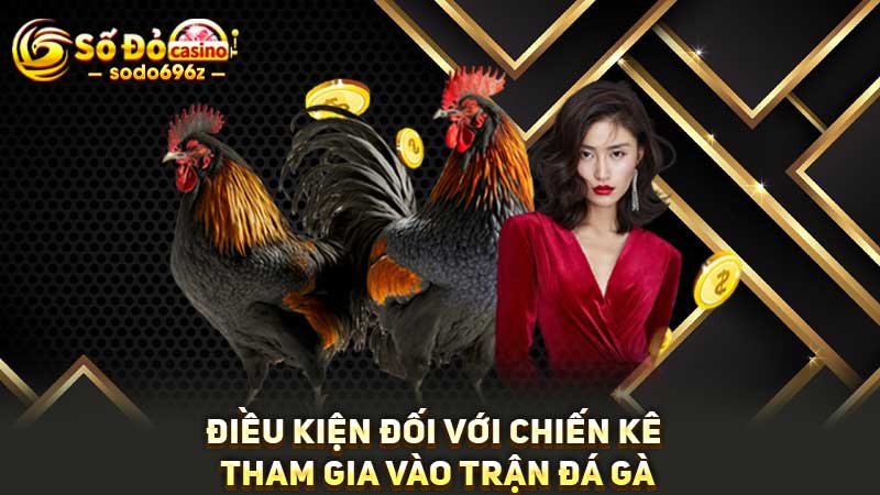 Điều kiện của chiến kê khi tham gia đá gà cựa dao