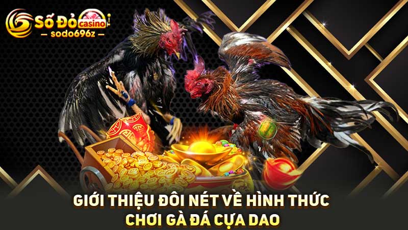 Giới thiệu đá gà cựa dao tại Việt Nam