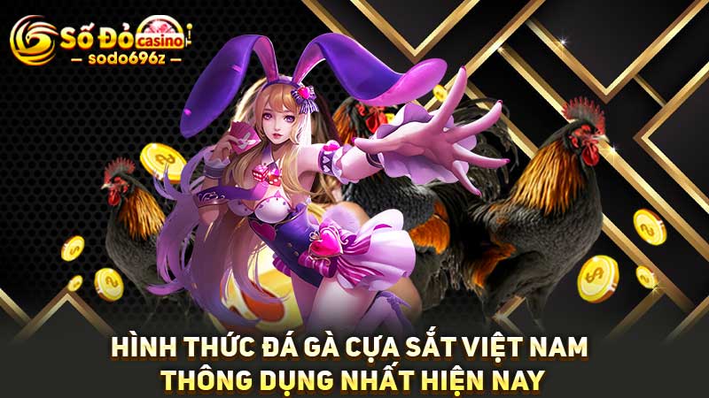 Hình thức đá gà cựa sắt phổ biến tại Việt Nam.