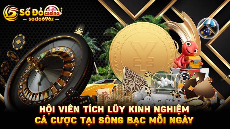 Hội viên nâng cao kinh nghiệm cá cược mỗi ngày