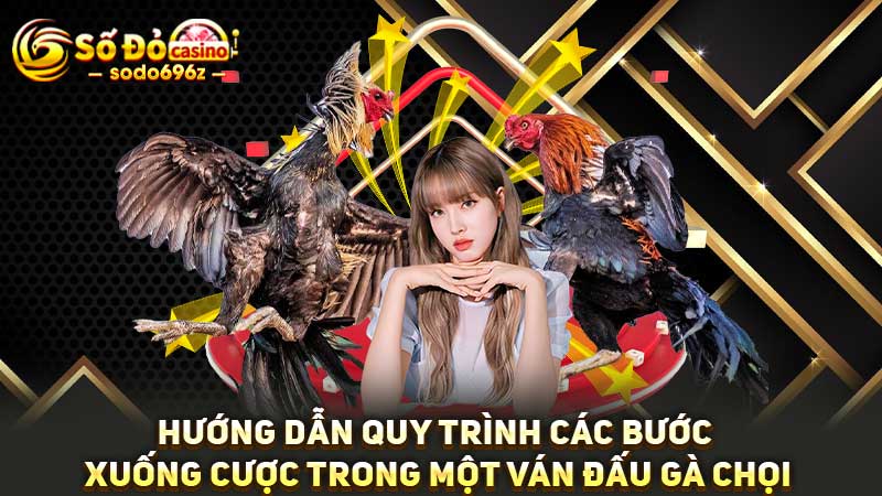 Quy trình xuống cược đá gà tại SODO