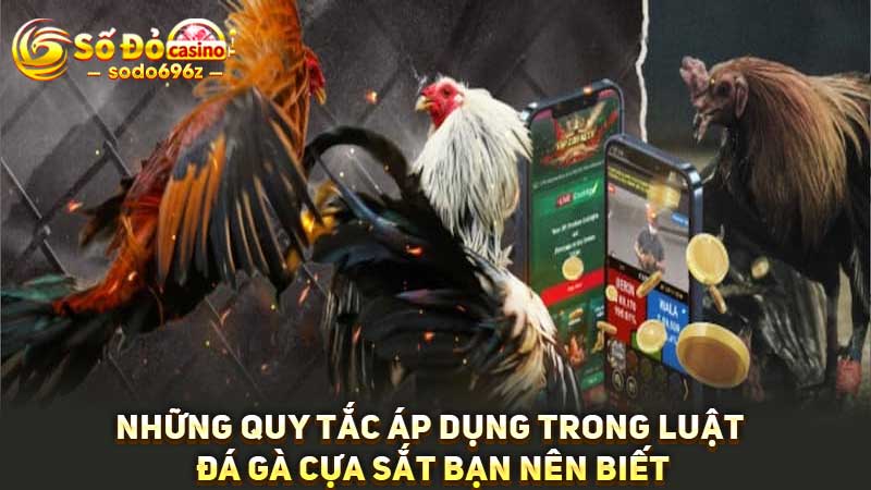 Luật đá gà cựa sắt quan trọng tại SODO