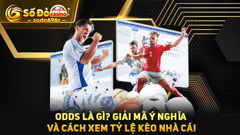 Giải thích odds và cách xem tỷ lệ kèo nhà cái.