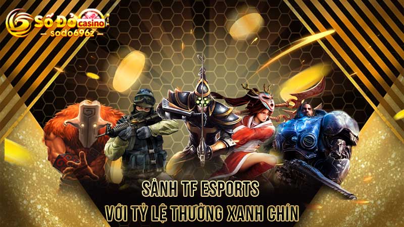 Sảnh TF Esports với tỷ lệ thưởng xanh chín