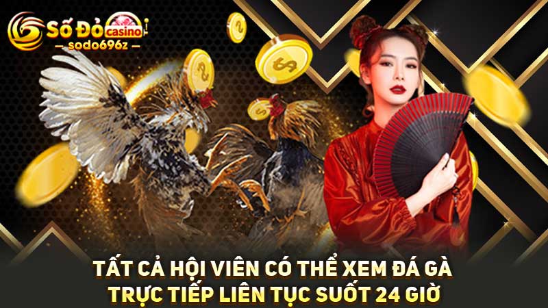 Xem đá gà trực tiếp 24/7 tại SODO.